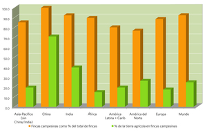 Gráfico 1: número de fincas pequeñas y la superficie que ellas ocupan. (Clic para ver gráfico aumentado)