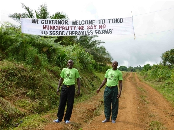     Résistance à l’accaparement des terres destiné aux plantations de palmier à huile au Cameroun : « Monsieur le Gouverneur, soyez le bienvenu dans la municipalité de Toko. Nous disons Non à SGSOC / Herakles Farms » (Photo : SEFE)