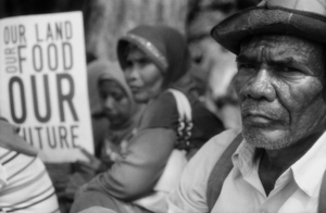 The Indonesian government has been steamrolling ahead with a massive, 2.5 million ha plantation project called the Merauke Integrated Food and Energy Estate in Western Papua Province. (Photo: Reuters)