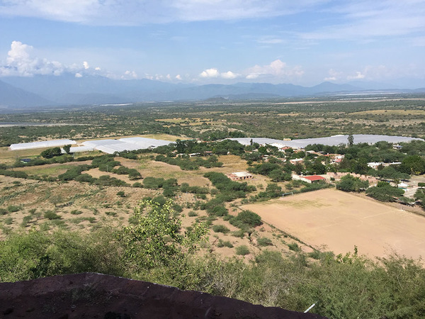 Invernaderos experimentales de Monsanto en México.