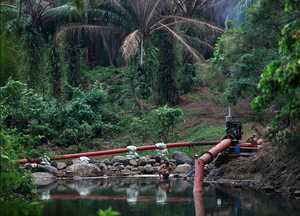 Las plantaciones para agrocombustibles en Guatemala utilizan la mayor parte del agua disponible para el riego. (Foto: Richard Perry / The New York Times)