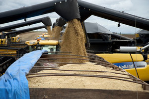 La société agro-alimentaire chinoise Chongqing Grain Group a obtenu des droits exclusifs sur la production des agriculteurs de 200.000 ha de terres agricoles brésiliennes. (Photo: Bloomberg)