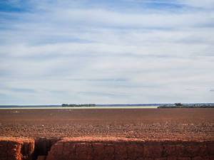 Area of plateau deforested for soybean production, Alto Parnaíba, Maranhão, July 2015. (Photo: Vicente Alves)
