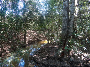 Un marais dans les basses terres près de Santa Filomena, Piauí, juillet 2015. Les membres des communautés locales disent qu'ils ont constaté une baisse importante des niveaux de l'eau au cours des dernières années. (Photo : Vicente Alves).