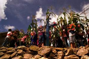 Maize festival in Chietepec el Grande, Montaña de Guerrero, Mexico. (Photo: Prometeo Lucero/CDHM Tlachinollan)