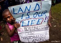 Communities in Papua New Guinea standing up against land 
grabs. Already 5.2 million hectares -- 10% of the entire country-- have 
been acquired by private companies. 