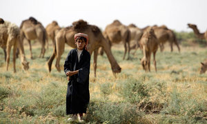 Iraq is among the countries in the Middle East facing severe water shortages. (Photo: Ali al-Saadi/AFP)