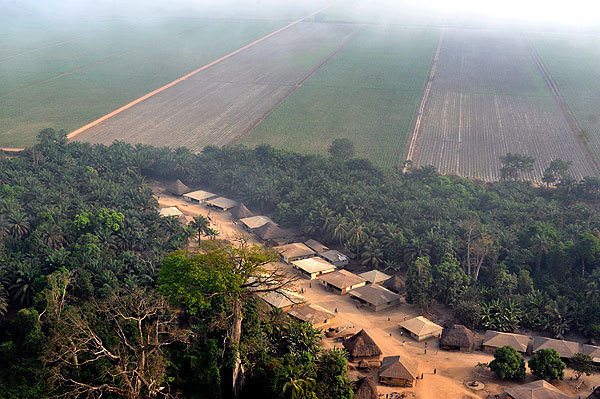 Foto aérea de las tierras ocupadas por Addax Bioenergy para sus plantaciones de caña de azúcar en Sierra Leona. (Foto: Le Temps)