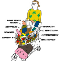 Click to enlarge: transatlantic shopping cart. (Credit: Martha Rosenberg)