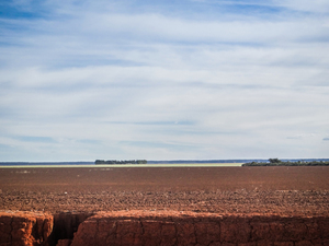 Zone de plateau déboisée pour la production de soja, Alto Parnaíba, Maranhão, juillet 2015. (Photo : Vicente Alves).