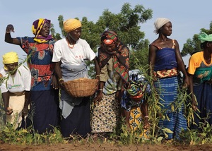 Still from the film "Burkinabè bounty: Agroecology in Burkina Faso"