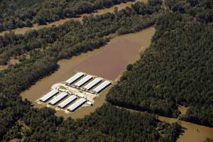 Hurricane causes toxic flood at a CAFO in North Carolina. Industrial meat not only contributes to climate change, it is also highly vulnerable under extreme climate events. (Photo: Rick Dove, Waterkeeper Alliance)