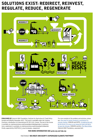 Solutions exist that address the power of the global meat and dairy complex and help transform our food system to one that benefits consumers and producers.