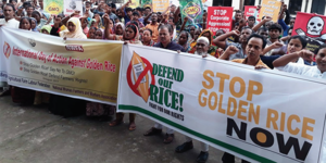 Action de solidarité mondiale contre la commercialisation du riz doré au Bangladesh.