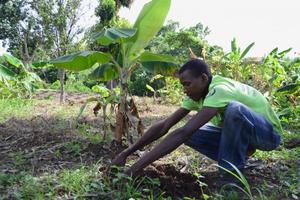 Jean is a small farmer just outside the town of Limonade in Haiti (Photo: Marilia Leti/ActionAid)