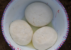 Fromages Wagashi fabriqués par des femmes Peules au Bénin. Dans la culture peule, les hommes s'occupent du bétail et les femmes s'occupent du lait. Les fromages Wagashi sont fabriqués d'une manière particulière qui leur permet de résister aux températures élevées de l'Afrique occidentale. Photo :  Pulaku Project