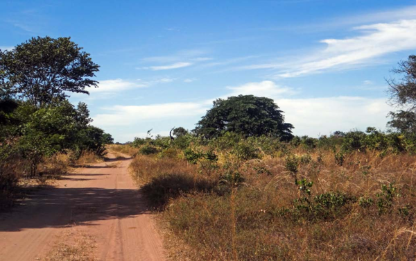 Tellus' Ludmila Farm, in Santa Filomena, Piauí, located within the Chapada da Fortaleza. The farm was still not being used for production in July 2015, even though an authorisation to clear the area for grain production had been published in the Official 