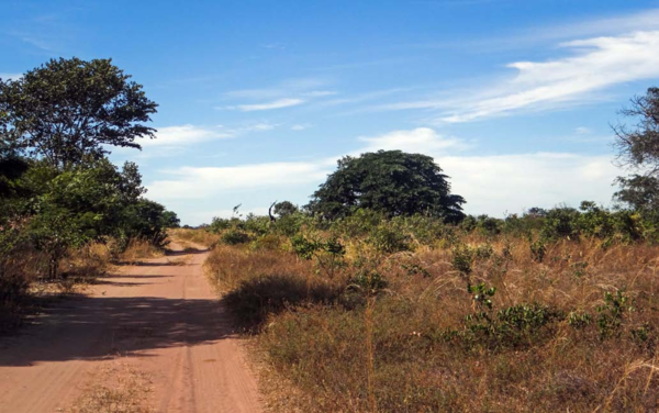 Ferme Ludmila de Tellus, à Santa Filomena, Piauí, située au sein de la Chapada da Fortaleza. En juillet 2015, la ferme n'était toujours pas utilisée pour la production, même si une autorisation pour défricher la zone de production de céréales avait été publiée dans le Journal officiel de l'État de Piauí le 27 septembre 2010. 