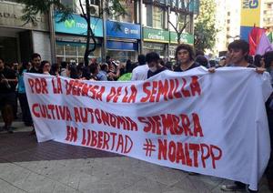 In Chile, students, farmers and consumers have successfully prevented the senate from adopting a “Monsanto Law” that would require the country to join UPOV 1991—which the TPP would make obligatory. (Photo: Biodiversidadla.org)