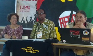 Mercia Andrews (TCOE), Nnimmo Bassey (ERA), et Tom Goldtooth (IEN) à Tunis. (Photo : GRAIN)