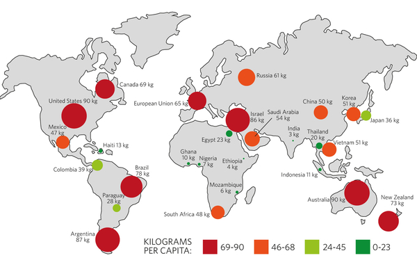 Adapted from: Skye Gould/Business Insider, “How much meat people eat around the world” (infographic), 29 September 2016, http://www.businessinsider.com/where-do-people-eat-the-most-meat-2016-10