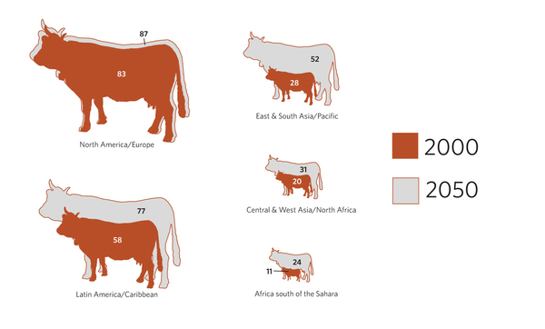 *Includes beef, pork, poultry and sheep meat. Adapted from: IFPRI, “How many kilograms per person”, Insights, Vol. 2, Issue 3, 2012, p. 23, http://ebrary.ifpri.org/cdm/ref/collection/p15738coll2/id/127219