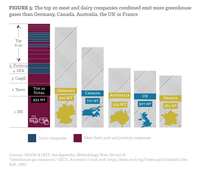 Figure 5: The top 20 meat and dairy companies combined emit more greenhouse gases than Germany, Canada, Australia, the UK or France.