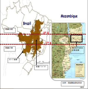 Clique para ampliar: Slide tirado de uma apresentação feita pelo Ministério da Agricultura de Moçambique sobre o projecto ProSavana durante a Conferência Triangular dos Povos, em Maputo, a 8 de Agosto de 2013.