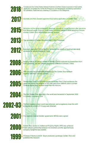 Golden Rice timeline