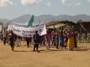 Opposition to the ProSavana project in northern Mozambique is intensifying.