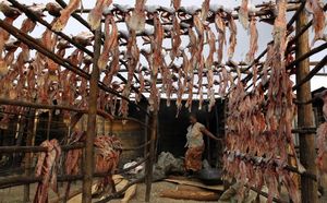 Espinhos de peixe a secar em estacas de madeira numa feira de Kisumu, Quénia. Os espinhos, chamdos de mgongo wazi, são secos ao sol e fritos antes de serem vendidos como comida barata. (Foto: REUTERS/Thomas Mukoya)