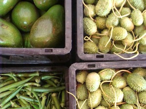 In Brazil, 84% of the farms are small, controlling less than 24% of the land, yet they produce the bulk of the country's food. (Photo: UNDP)