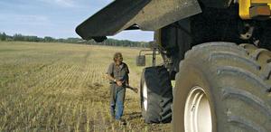 L'agriculture familiale est une catégorie fourre-tout 