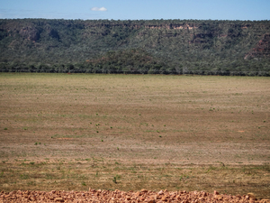 Zone de plateau défrichée pour la production de soja, Alto Parnaíba, Maranhão, juillet 2015. (Photo : Vicente Alves).