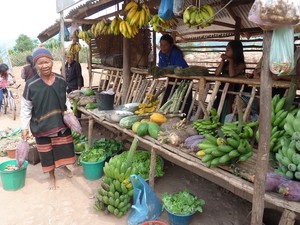 A focus on local markets and fresh produce would reduce the need for long distance transport, freezing and processing. Photo: Shalmali Guttal.