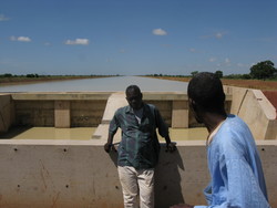 Farmer leaders from Sexagon, an organisation of farmers from the Office du Niger, standing at the end point of the 40-km long Malibya canal.