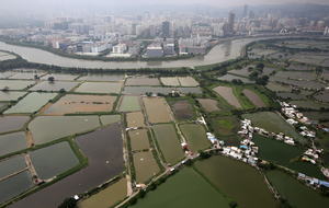 Développement urbain empiétant sur les terres agricoles en bordure de Shenzen, en Chine : combien de nourriture les petits agriculteurs pourraient-ils produire de plus s'ils n'étaient pas si opprimés ? (Photo  : Robert Ng)