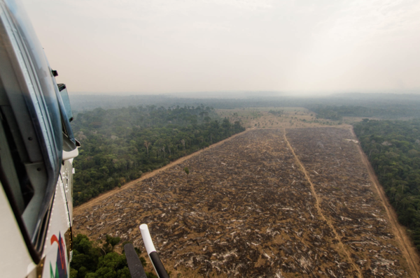 A view of illegally deforested land from the IBAMA helicopter. © Marcio Isensee e Sá