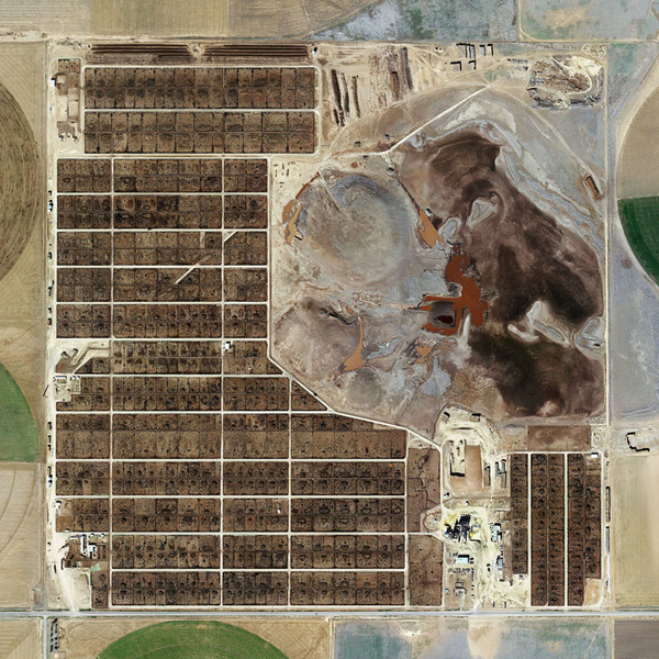 Randall County Feedyard, Amarillo, Texas (detail) (Mishka Henner, 2013)