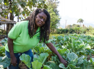 © Ebe Daems (source: http://www.mo.be/en/analysis/tanzanian-farmers-are-facing-heavy-prison-sentences-if-they-continue-their-traditional-seed)