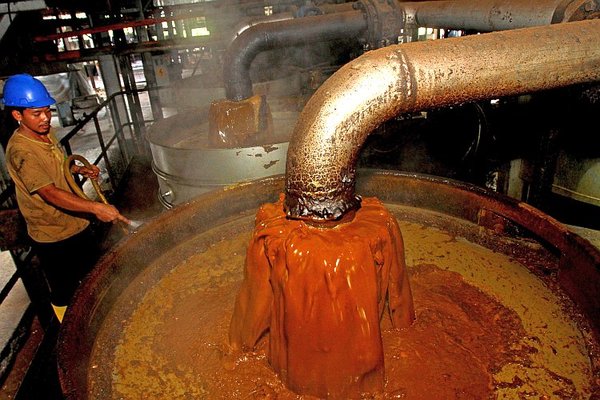 Processing palm oil fruits at a factory in Medan, Indonesia. (Photo : ATAR/AFP/Getty Images)