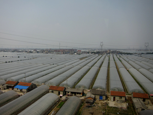 Greenhouses (Photo: Sean Munson)