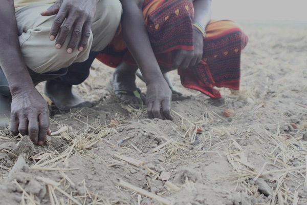 La société AgroMoz ont entrepris a chassé de leurs terres plus d’un millier de paysans du village de Wakhua. (Photo : Erico Waga pour GRAIN)