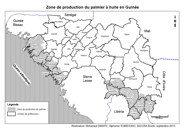 Côte d'Ivoire: les importations illégales d'huile de palme raffinée  menacent de nombreux emplois [1/2] - Afrique économie