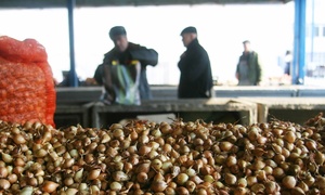 The arrival of supermarkets in Romania and elsewhere in eastern Europe has squeezed out local suppliers. Photograph: Mihai Barbu/Reuters 