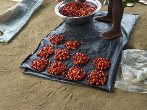 Fruits de palmier à huile en vente en Côte d’Ivoire. (Photo : INADES Formation)