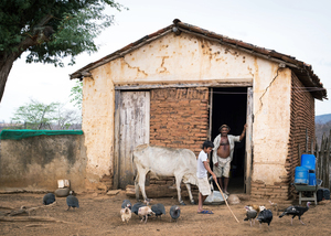 Pequeña granja con animales en Ceará, Brasil. La producción de ganado a pequeña escala mejora la nutrición y la seguridad alimentaria familiar. (Foto: fxp@gmx.de)