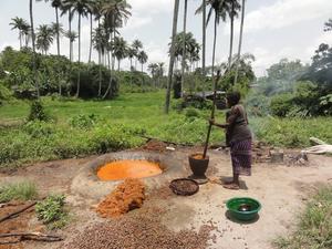 Artisanal palm oil production in Guinea. (Photo: ADAPE Guinée)