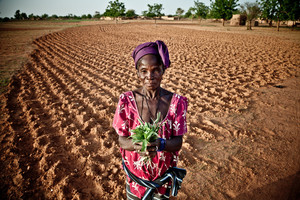 Suzanne Ouedraogo, agricultora do Burquina Faso: o governo é instado a transformar e a absorver a os sistemas agrícolas e fundiários consuetudinários em mercados de estilo ocidental. Quem beneficiará? (Fotografia: Pablo Tosco/Oxfam)