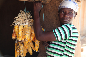 Nuevos acuerdos de libre comercio legalizan el robo corporativo y amenazan la capacidad de los campesinos para guardar, producir e intercambiar semillas (Foto: Global Justice Now)